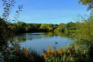 Photographs from  allestree park in derby