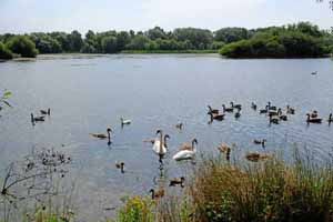 Photographs from branston water park near   Derby 