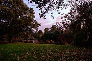 Photographs from  Derby - Markeaton Park