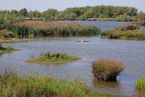 Photographs from willington wet lands near  Derby 