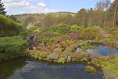 Lea Gardens in Derbyshire