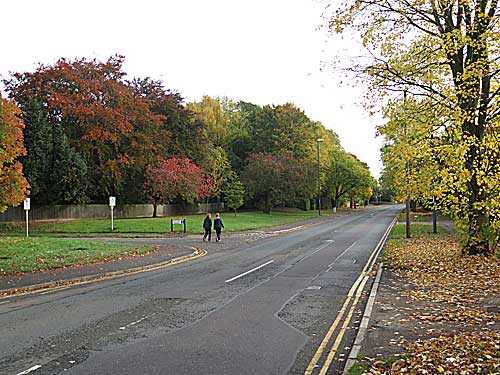 Burton Road in Littleover