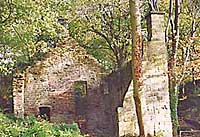 Mill ruins 