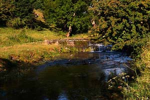 Photograph   from     Bradford Dale 