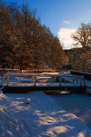 Photograph   from  Cromford Canal in Derbyshire