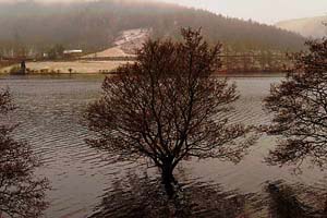 Photograph   from  the Upper Derwent Valley , Derbyshire   derwent reservoir