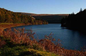 Photograph   from  the Upper Derwent Valley , Derbyshire  - howden reservoir