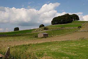 Photograph from hartington area  - parsley hay