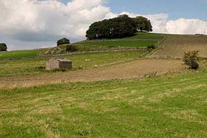 Photograph from hartington area - parsley hay