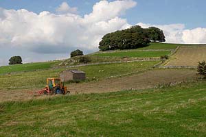 Photograph  hartington area - parsley hay