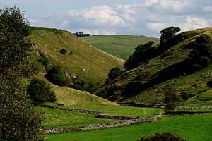 Photograph from  hartington area - parsley hay