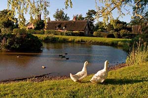 Photograph osm aston duck pond 