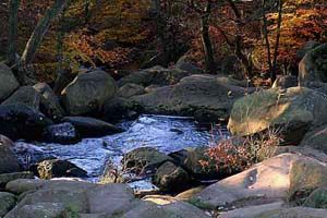 Photograph   from Padley Gorge in Derbyshire