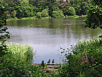 Shipley Park in Derbyshire